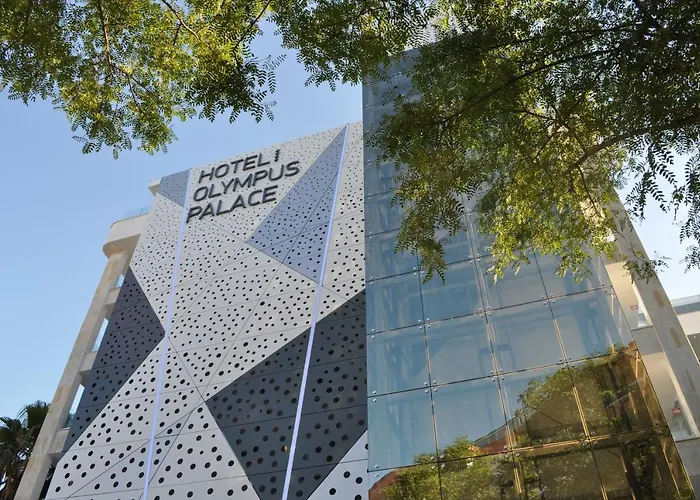 Olympus Palace Hotel 4*