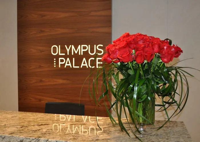Olympus Palace 4*
