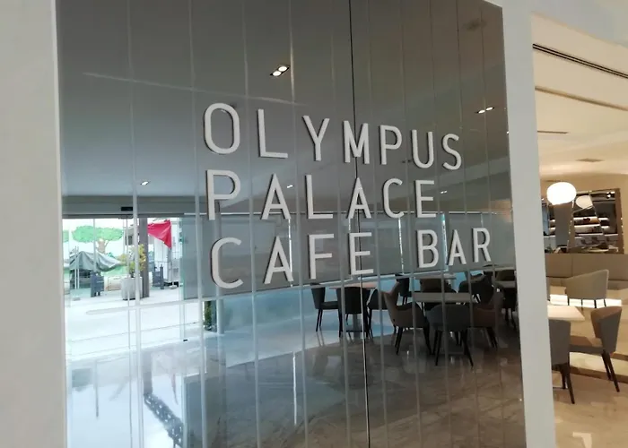 Olympus Palace 호텔 살루